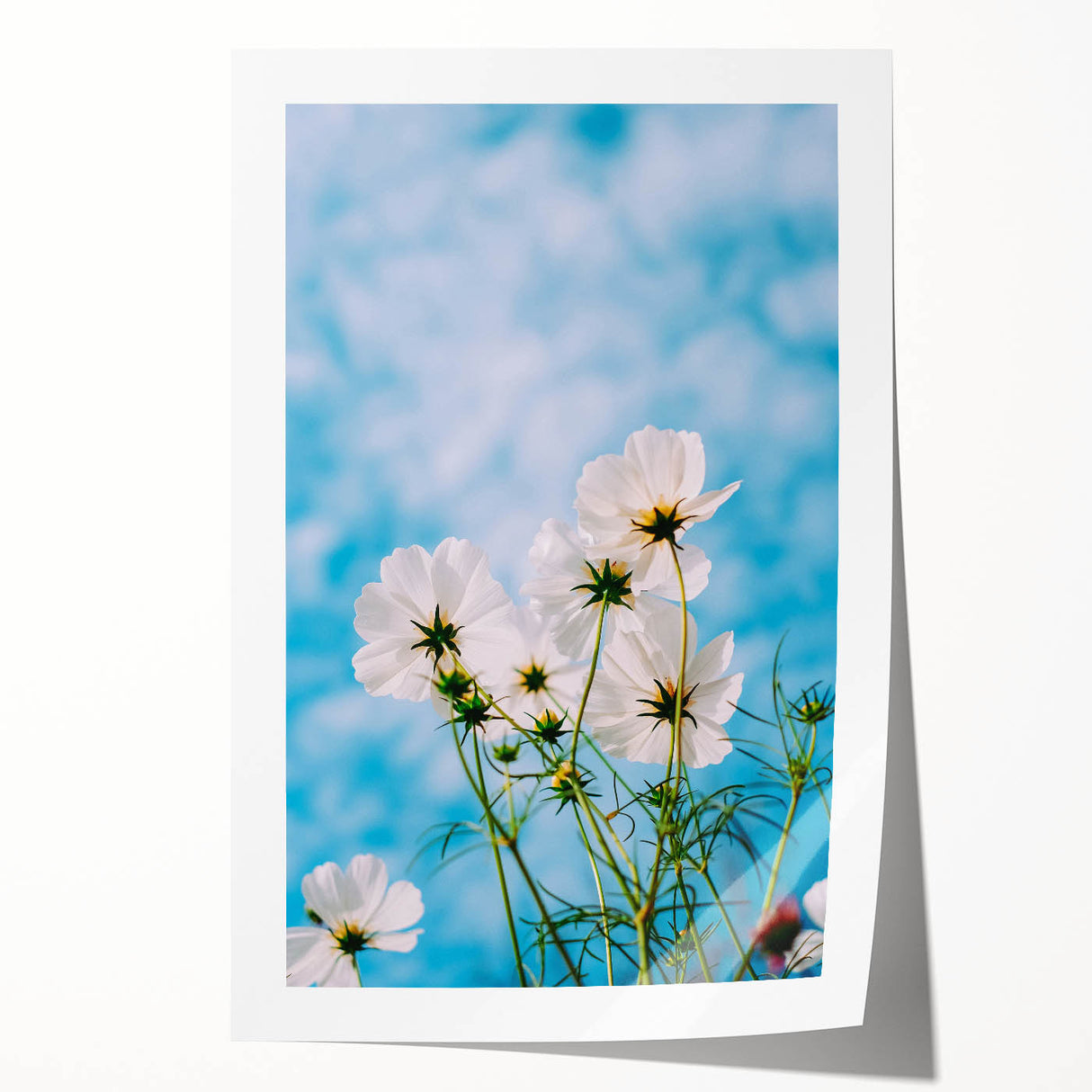Extra large rolled print of spring-themed floral art with vibrant green and pink tones, ideal for dining room wall decor.