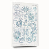 Modern Marine-Inspired Wall Art – Abstract Ctenophore Design