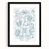 Modern Marine-Inspired Wall Art – Abstract Ctenophore Design