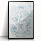Modern Marine-Inspired Wall Art – Abstract Ctenophore Design