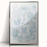 Modern Marine-Inspired Wall Art – Abstract Ctenophore Design