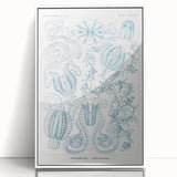 Modern Marine-Inspired Wall Art – Abstract Ctenophore Design