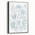Modern Marine-Inspired Wall Art – Abstract Ctenophore Design