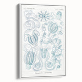 Modern Marine-Inspired Wall Art – Abstract Ctenophore Design