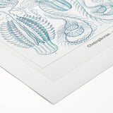 Modern Marine-Inspired Wall Art – Abstract Ctenophore Design