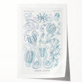 Modern Marine-Inspired Wall Art – Abstract Ctenophore Design