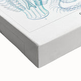 Modern Marine-Inspired Wall Art – Abstract Ctenophore Design