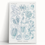 Modern Marine-Inspired Wall Art – Abstract Ctenophore Design