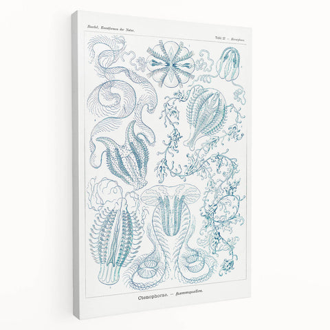 Modern Marine-Inspired Wall Art – Abstract Ctenophore Design
