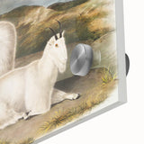 Romanticism Art - Rocky Mountain Goat Print by Audubon