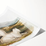 Romanticism Art - Rocky Mountain Goat Print by Audubon