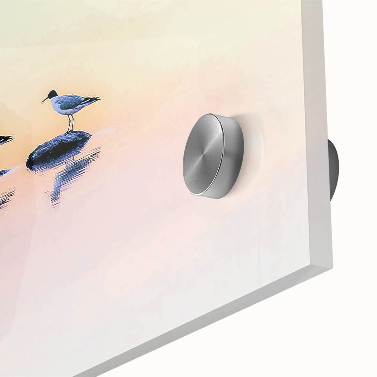 Professional Office Art - Minimalist Seagull Reflection Print