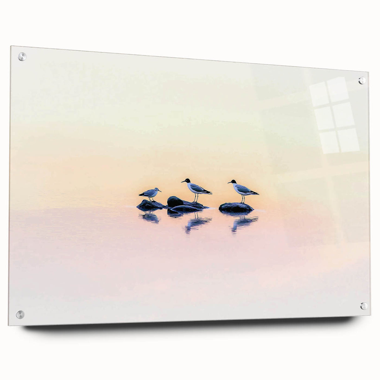 Professional Office Art - Minimalist Seagull Reflection Print