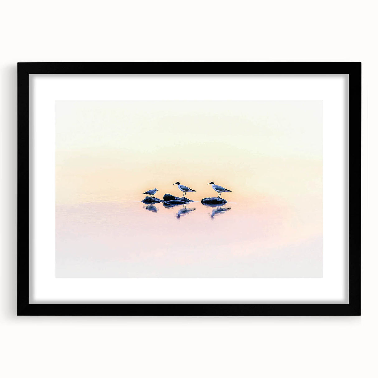 Professional Office Art - Minimalist Seagull Reflection Print