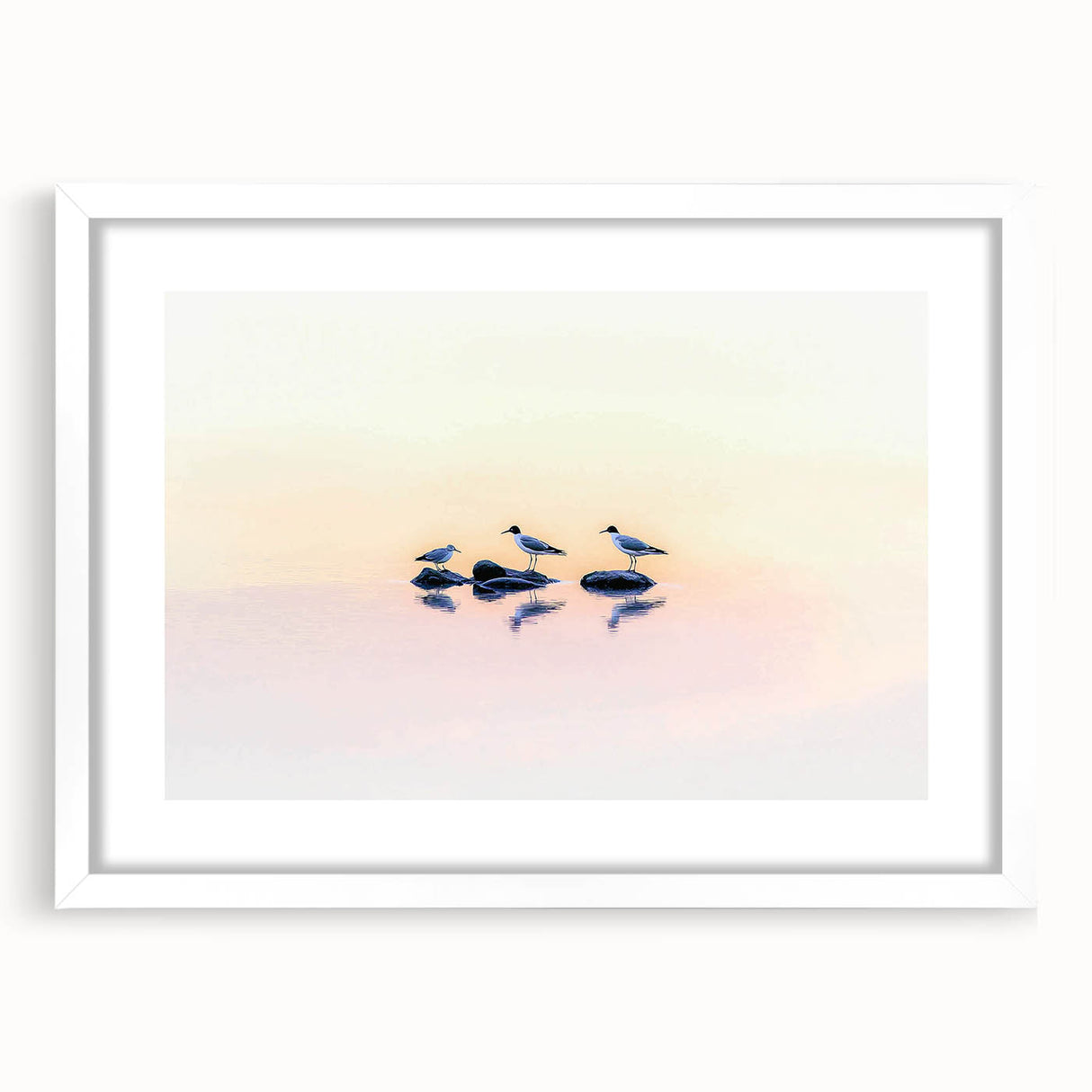 Professional Office Art - Minimalist Seagull Reflection Print