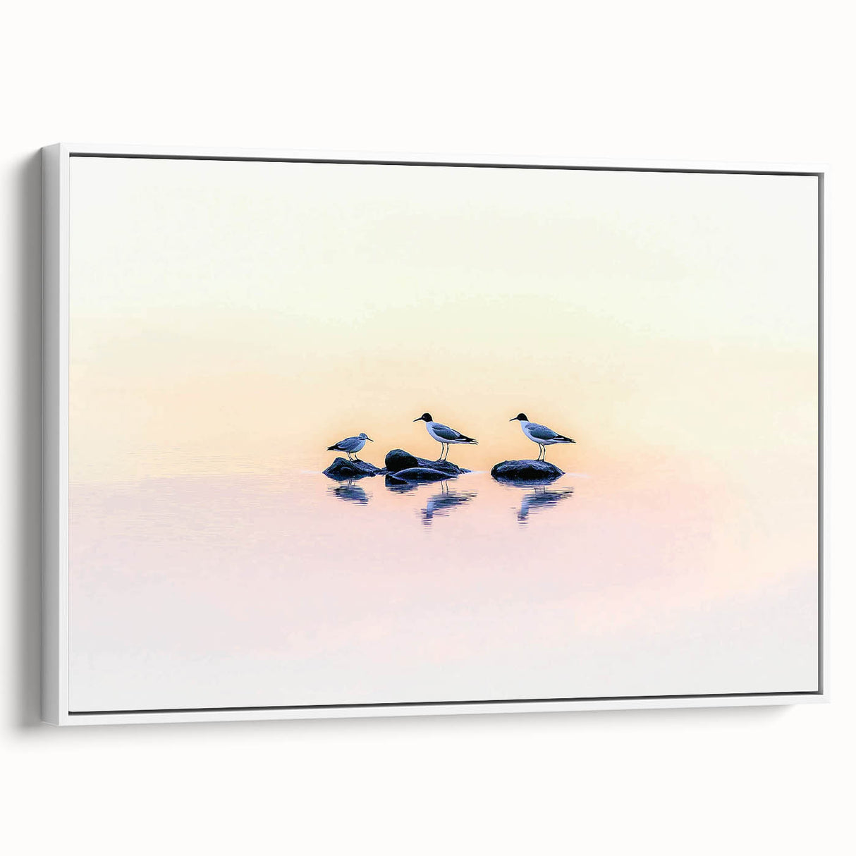 Professional Office Art - Minimalist Seagull Reflection Print