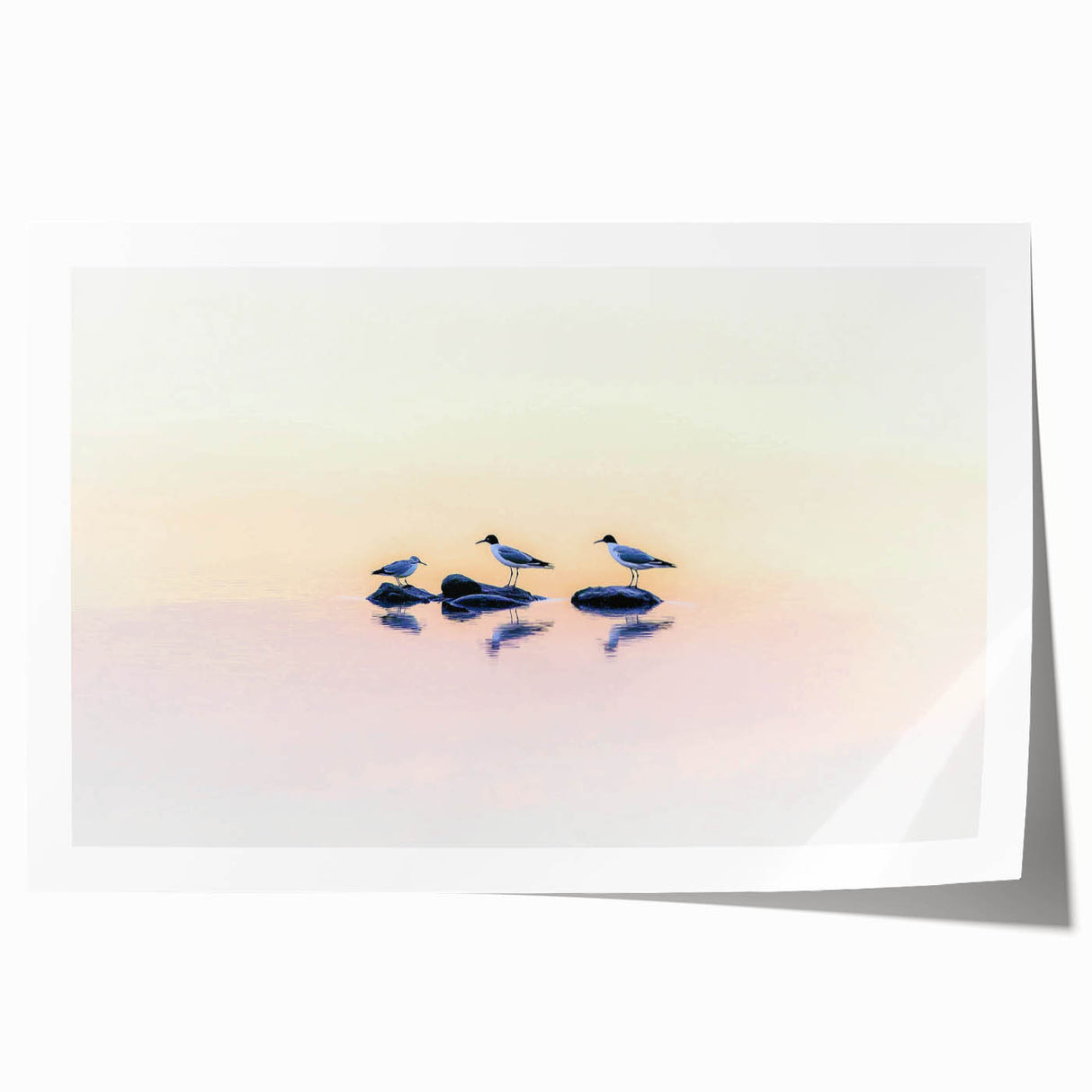 Professional Office Art - Minimalist Seagull Reflection Print