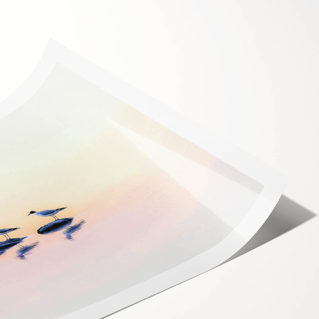 Professional Office Art - Minimalist Seagull Reflection Print