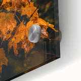 Large abstract wall art in warm autumn hues on acrylic glass, ideal for dining room ambiance.