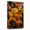 Large abstract wall art depicting fall seasons in warm orange and brown tones, acrylic print, suitable for dining room decor.
