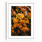 Abstract art print featuring swirling autumnal hues on a white framed canvas, suitable for dining room or bedroom decor.