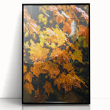 Large abstract wall art featuring autumnal shades on black acrylic, framed, ideal for modern living room decor.