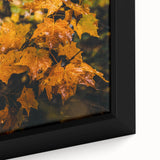 Close-up of a framed canvas featuring textured black wall art with colorful, abstract autumn motifs.