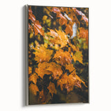 Framed canvas depicting a vintage-style landscape with colorful autumn trees against a black background.