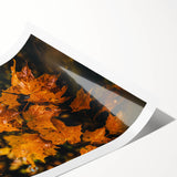 Extra large wall art featuring line art flowers in autumn hues on a rolled print, suitable for large living room decor.