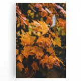 Black and white abstract tree design on large stretched canvas, suitable for kitchen wall art.