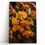 Large black and white abstract painting on stretched canvas, depicting swirling patterns.