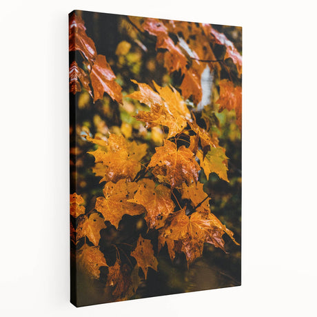 Large canvas with a fall-themed abstract design in warm orange and brown tones, suitable for kitchen wall art.
