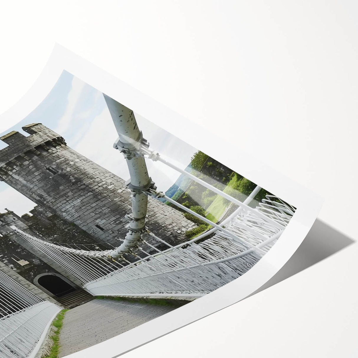 Rolled print showcasing a vibrant landscape featuring a majestic castle surrounded by lush greenery, expertly packaged in a durable cardboard tube for safe shipping.