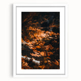 Abstract art print depicting autumnal trees in orange and red hues on a white framed canvas, suitable for dining room decor.
