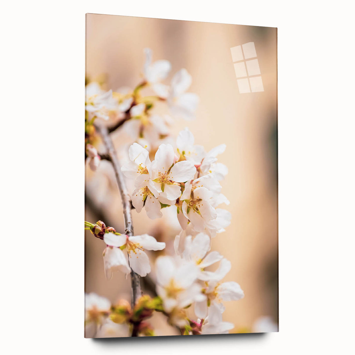 Large abstract wall art on acrylic glass depicting vibrant spring colors, ideal for bedroom or dining room decor.