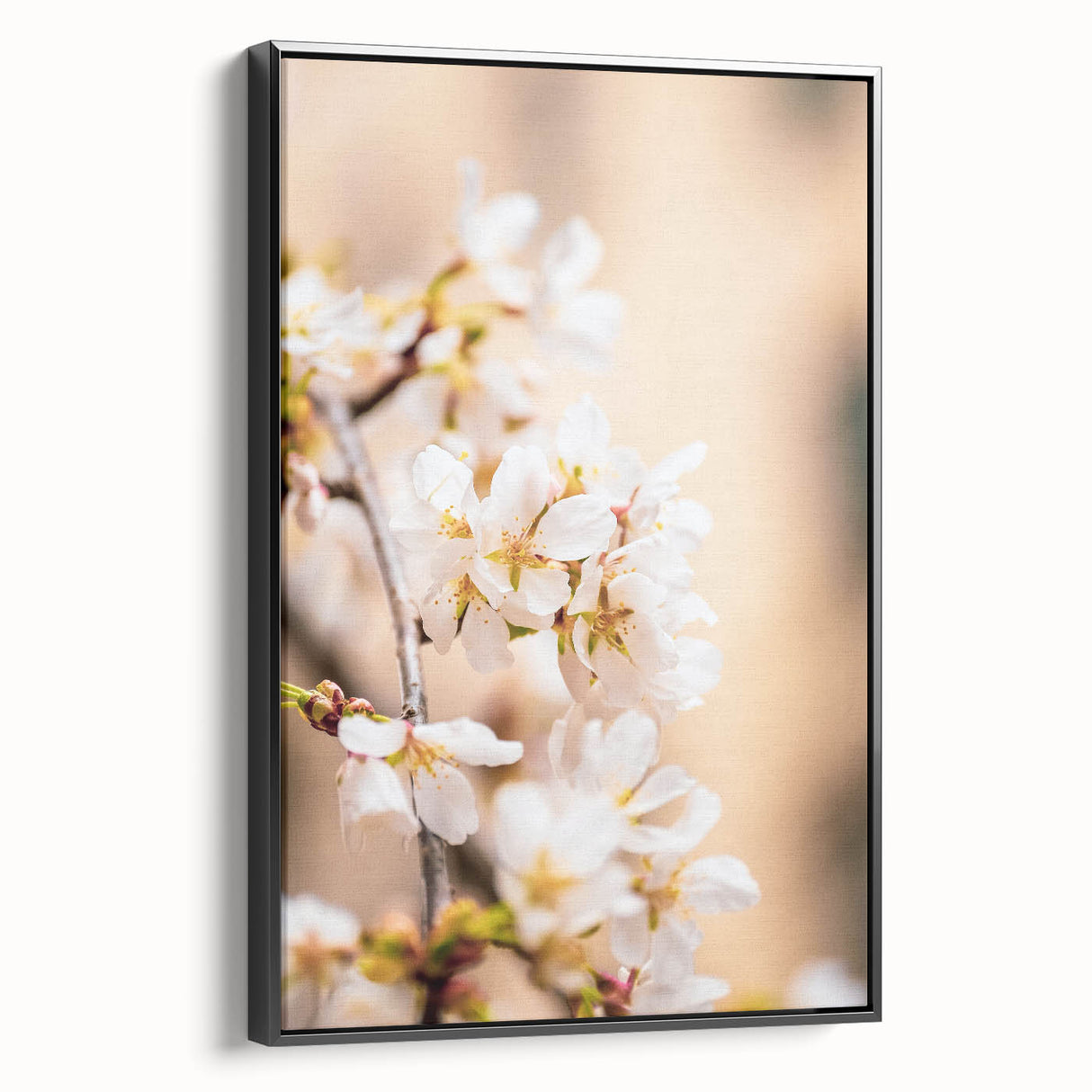 Black and white vintage poster art of a spring landscape on framed canvas, ideal for bedroom wall decor.