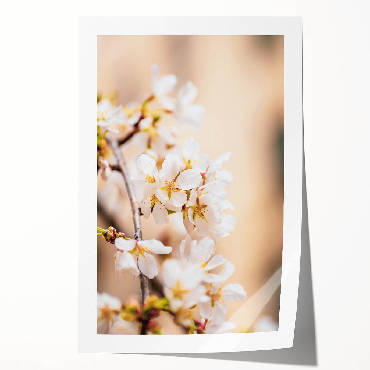 Extra large rolled print featuring a vibrant spring floral design on canvas, ideal for art wall dining room or bathroom.