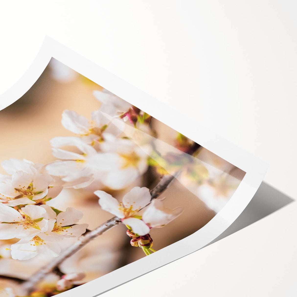 Extra large rolled print featuring line art flowers in soft pastel colors, ideal for large living room wall art.