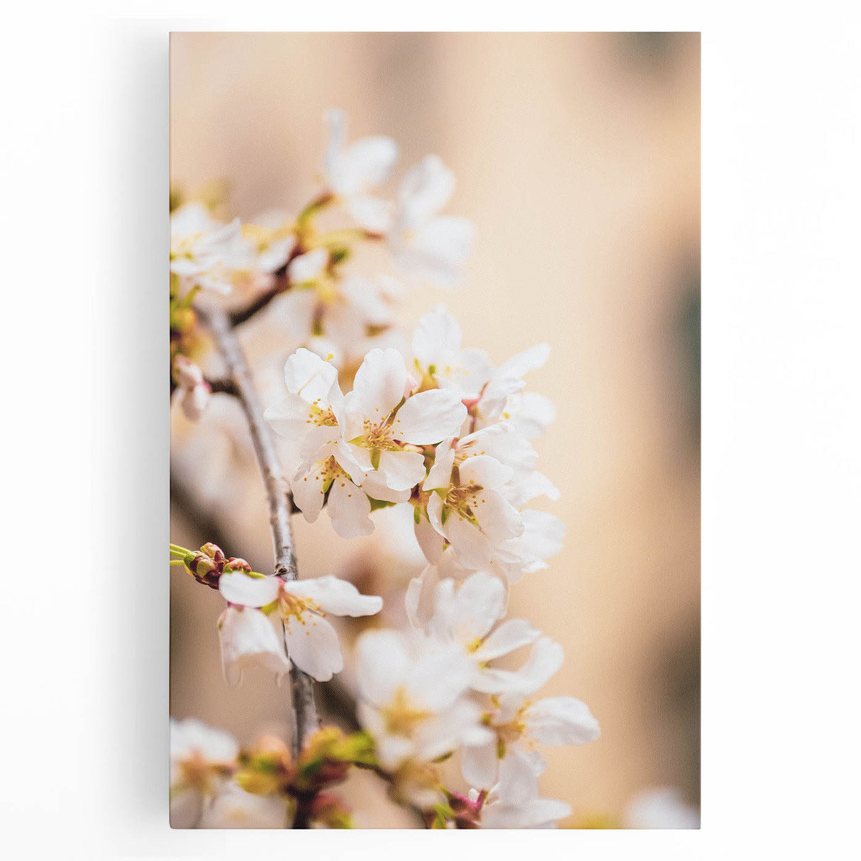 Large black and white abstract art on stretched canvas, depicting spring themes, ideal for kitchen wall art.
