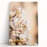Black and white large canvas of a spring scene with trees, ideal for kitchen wall art or bedroom ambiance.