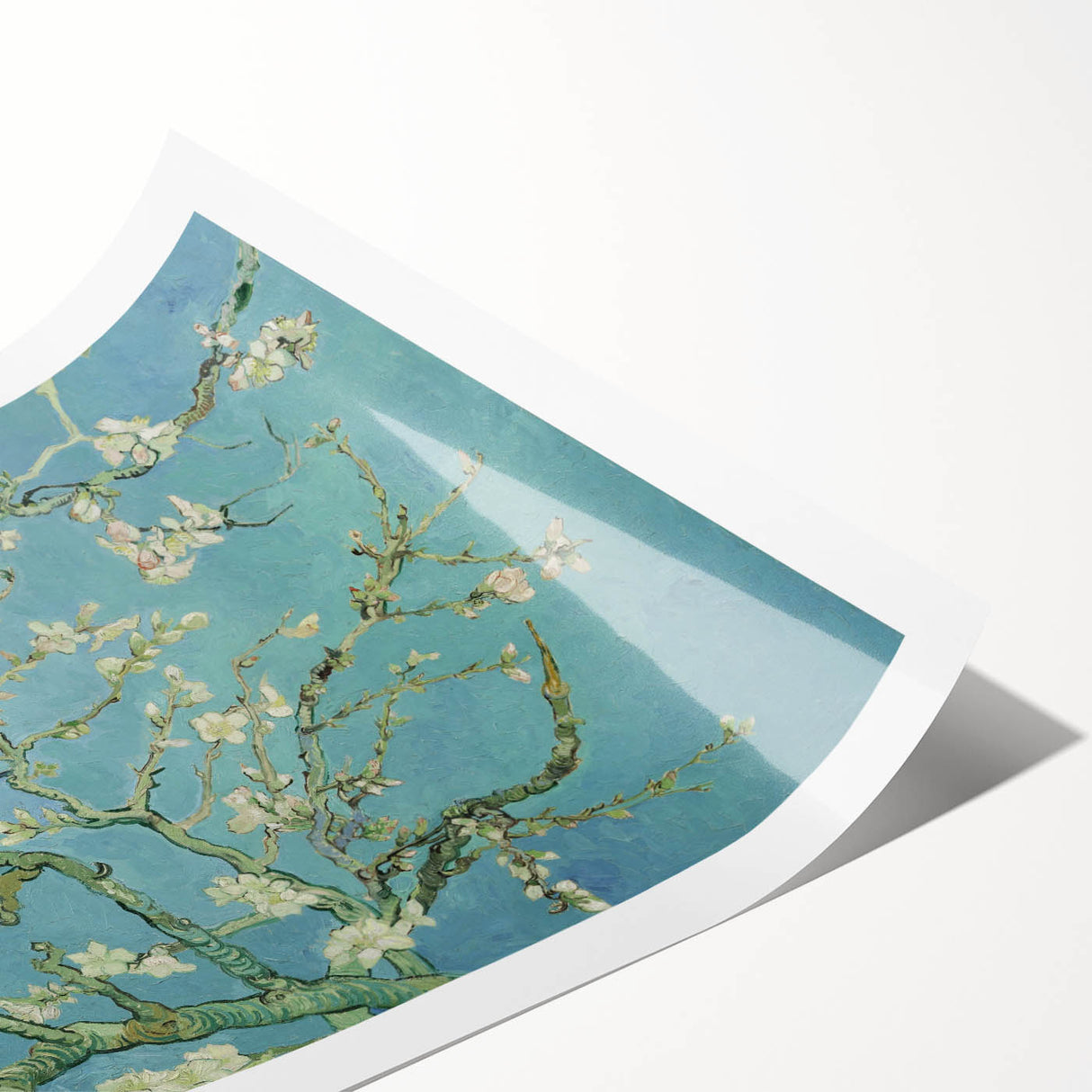 Extra large wall art featuring line art flowers on a rolled canvas, ideal for large living room decor.