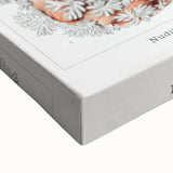 Modern Marine Wall Art – Ernst Haeckel’s "Nudibranchia" Illustration