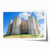 Rolled print showcasing a detailed landscape of a majestic castle surrounded by lush greenery, designed to add elegance to home decor, packaged securely in a protective tube.