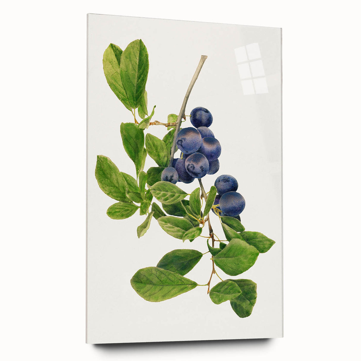 Large abstract wall art featuring a variety of fruits in vibrant colors on acrylic glass.