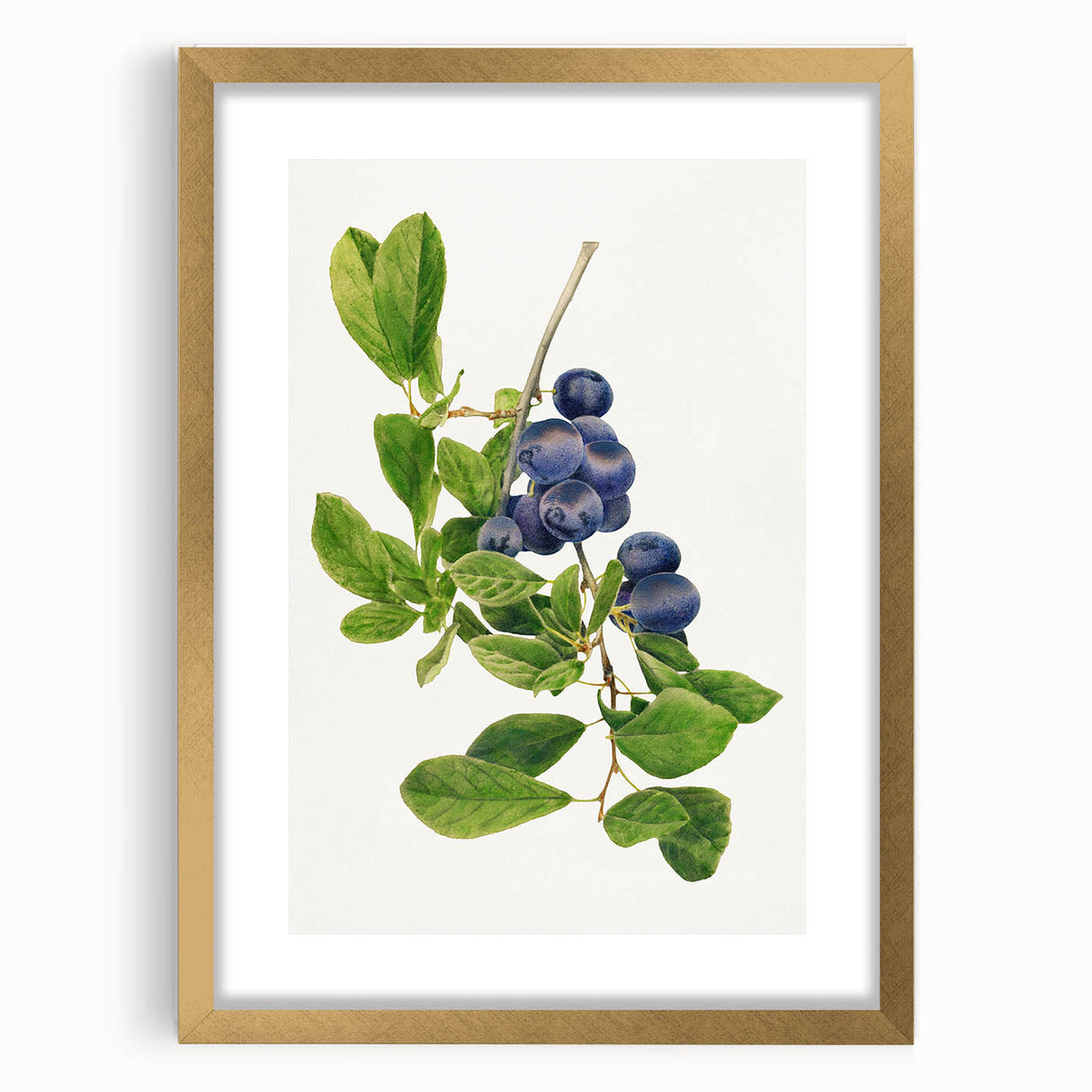 Extra large abstract art print featuring textured fruits in vibrant colors, framed in gold, ideal for living room decor.
