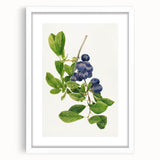 Abstract art print featuring assorted fruits in vibrant colors on a white framed mat, suitable for dining room decor.