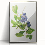 Mid-century modernist art featuring assorted fruits in vibrant colors on a silver-framed acrylic print.