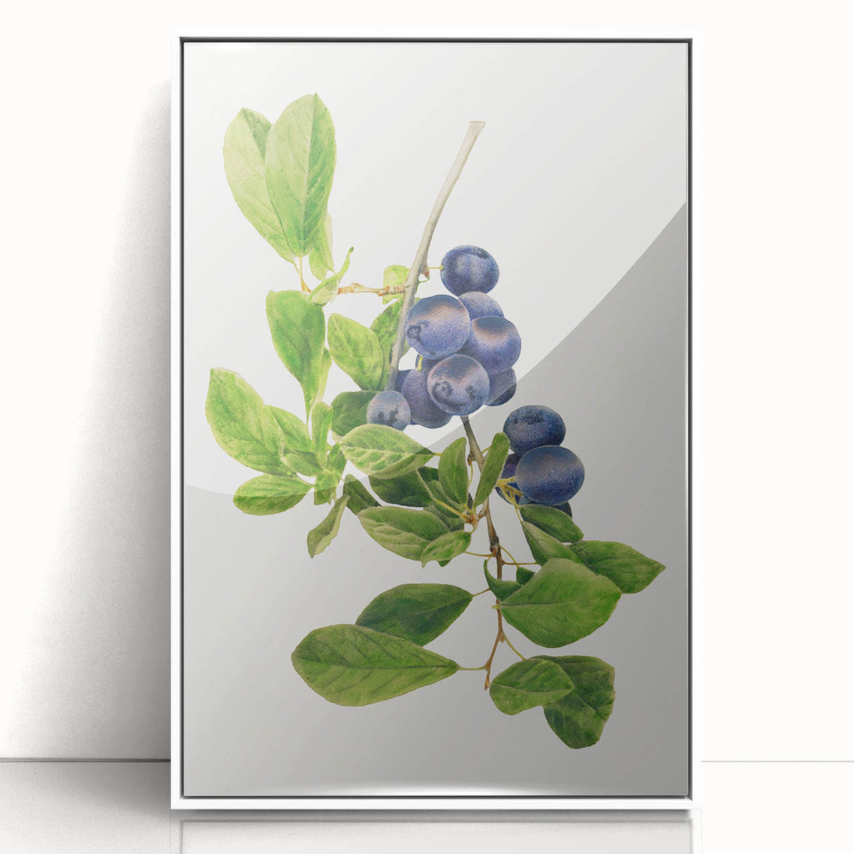 Art deco poster featuring an assortment of fruits in vibrant colors on a white acrylic framed print.