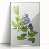 Art deco poster featuring an assortment of fruits in vibrant colors on a white acrylic framed print.