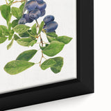 Close-up of extra large black wall art featuring colorful, textured fruits on a framed canvas, ideal for living room decor.